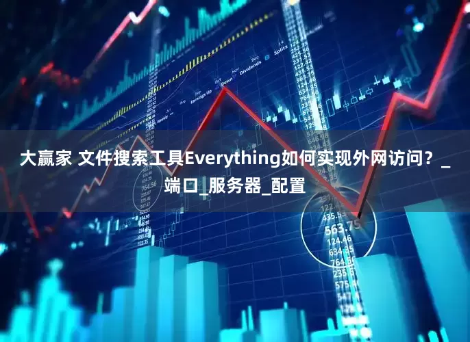 大赢家 文件搜索工具Everything如何实现外网访问？_端口_服务器_配置